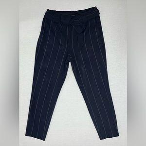 Express Ankle Pant Size 10